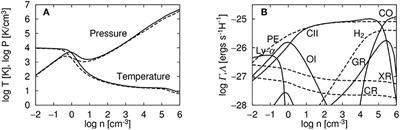 The Role of Magnetic Field in Molecular Cloud Formation and Evolution